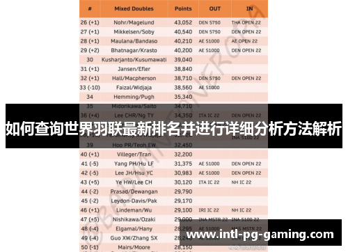 如何查询世界羽联最新排名并进行详细分析方法解析