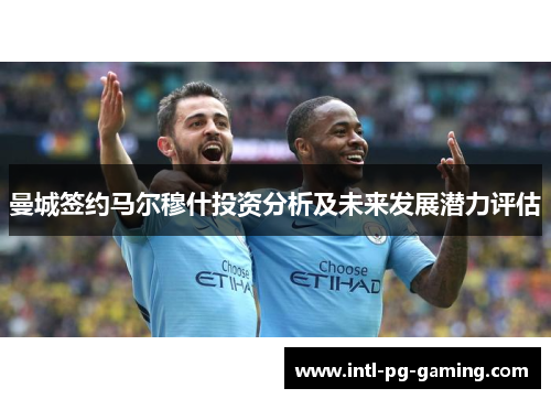 曼城签约马尔穆什投资分析及未来发展潜力评估