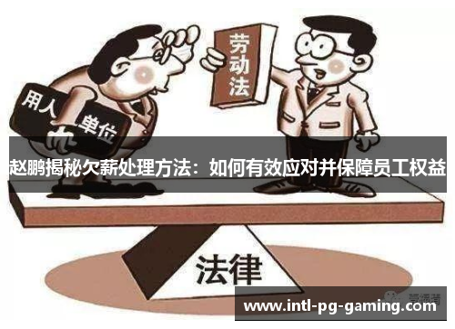 赵鹏揭秘欠薪处理方法：如何有效应对并保障员工权益
